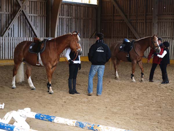 Brevet auf Weidhof 2010-35