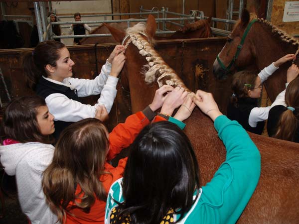 Brevet auf Weidhof 2010-45