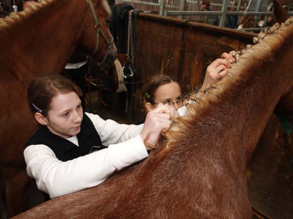 Brevet auf Weidhof 2010-46